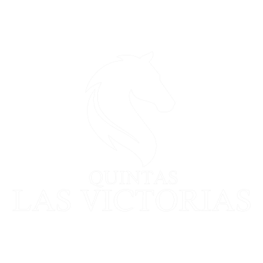 Logo de Quintas Las Victorias