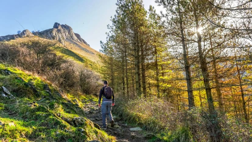 Ecological Trails
